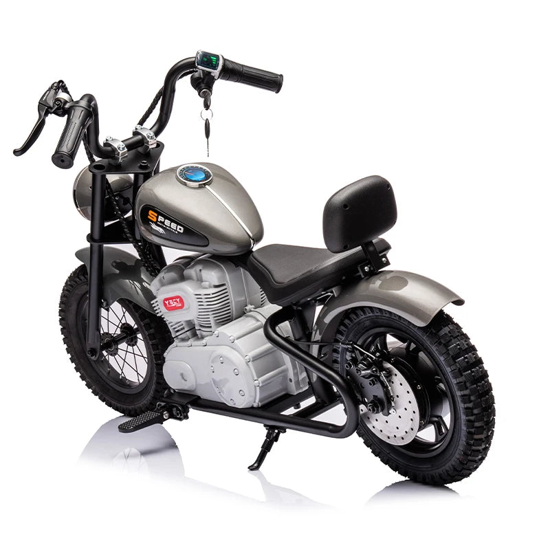 Big Kids Dirt Bike Electric 24v