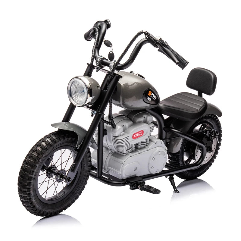 Big Kids Dirt Bike Electric 24v