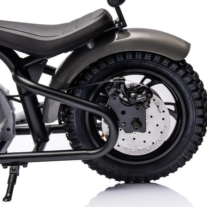 Big Kids Dirt Bike Electric 24v